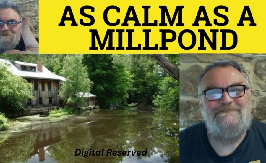 As Calm As What: Beautiful Similes That Capture True Serenity 4 14. As Peaceful as an Open Meadow