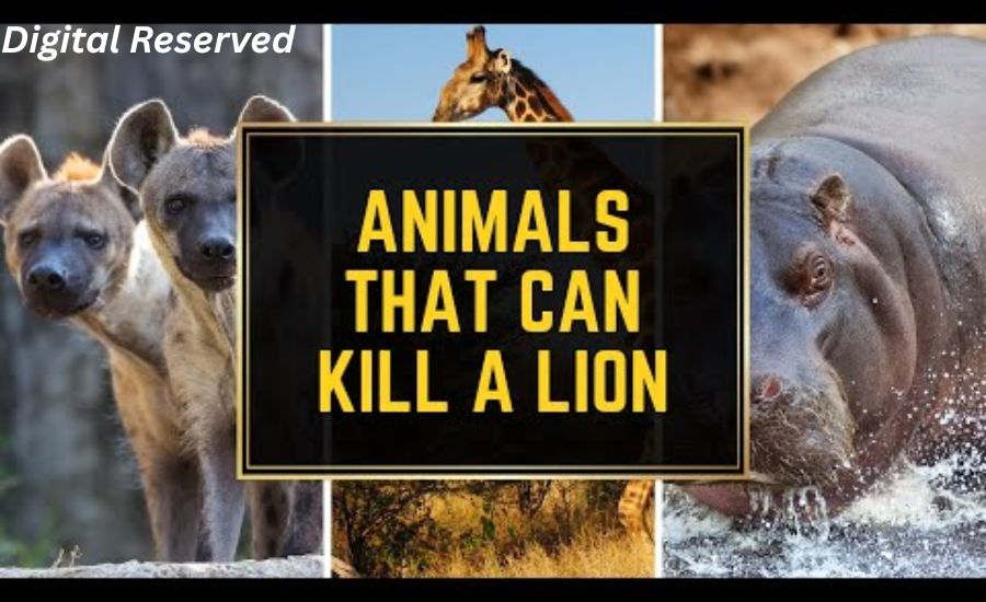 "As Fierce As Which Animal? 33 Powerful Similes That Bring Language to Life" 4 18. Devoted as a Loyal Dog