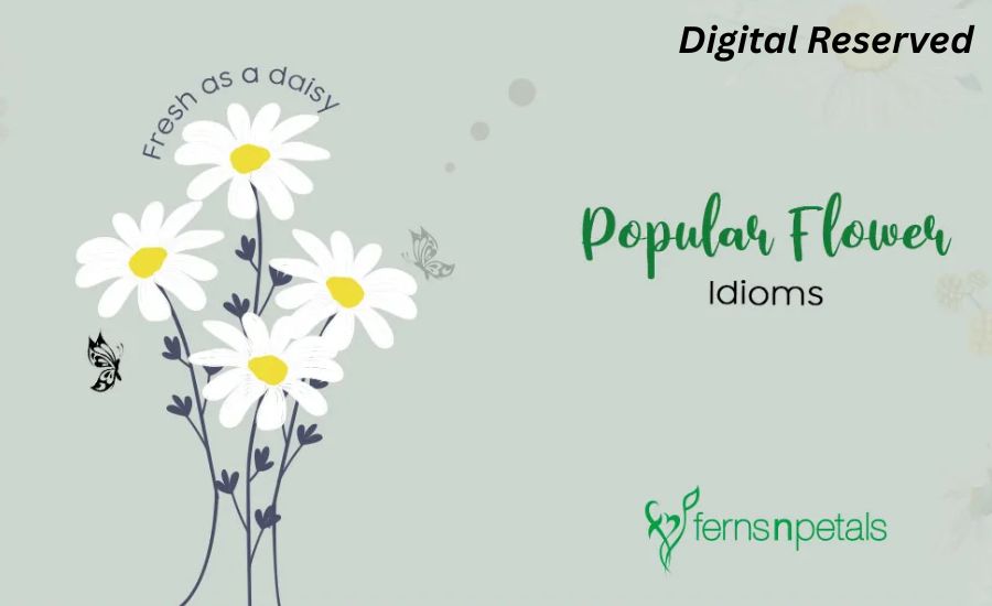 30 Idioms for Flowers 4 15. Florid Language