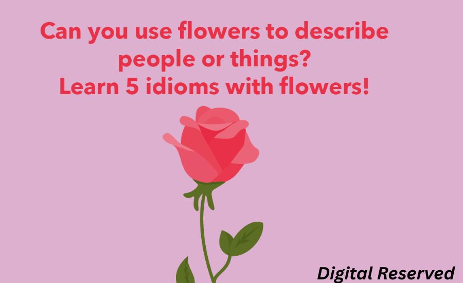 30 Idioms for Flowers 3 9. Bloom Where You’re Planted