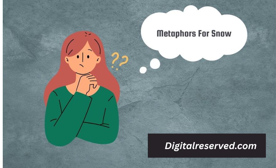 24 Metaphors for Snow 2 2. Snow as a Shroud