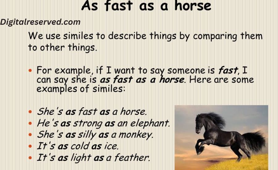 28 Similes for Fast 3 10. As Fast as a Falcon