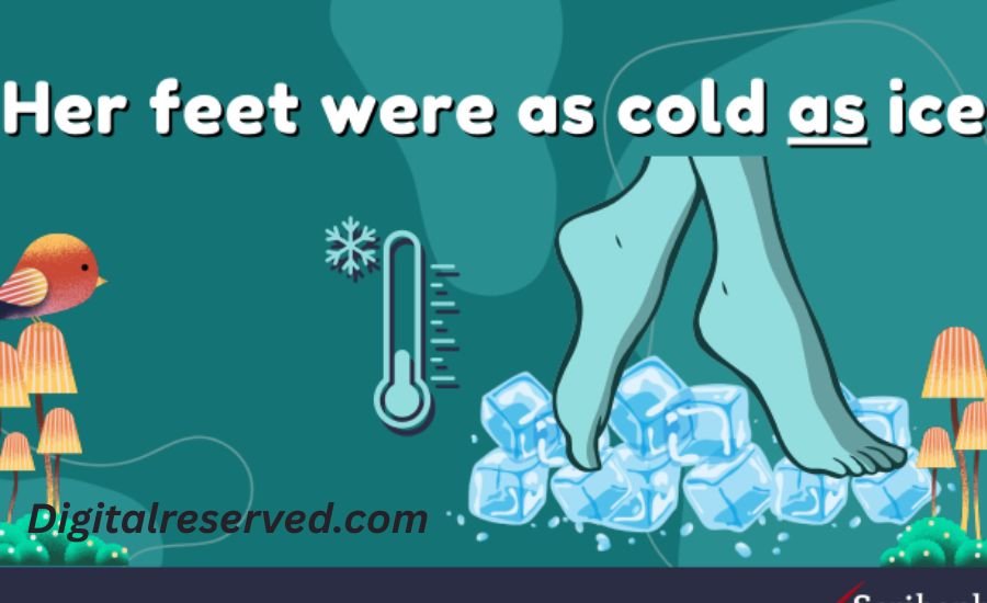3. Cold as the Arctic
