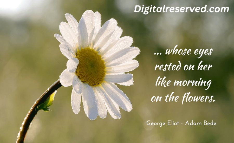 27 Metaphors for Flowers 4 12. The Pulse of the Garden