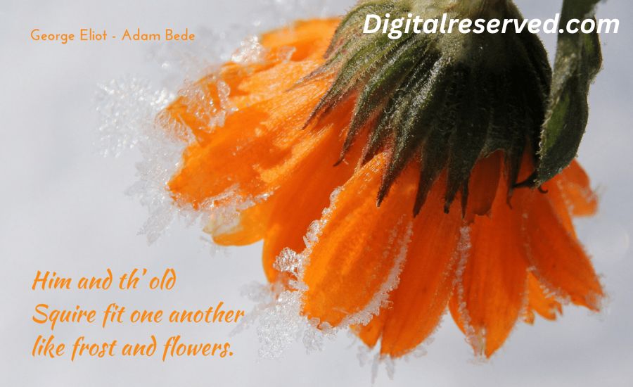 flower metaphors