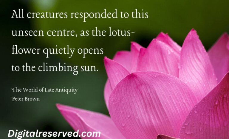 27 Metaphors For Flowers