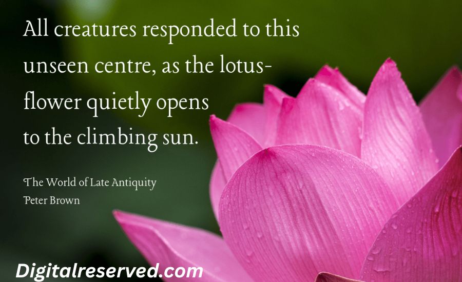 27 Metaphors for Flowers 3 6. The Earth’s Jewelry