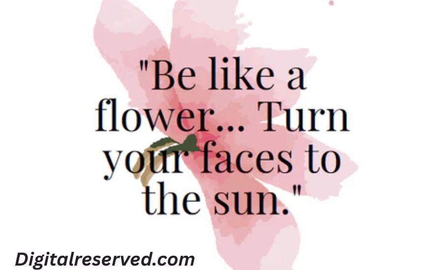 27 Metaphors for Flowers 2 1. Nature’s Paintbrushes