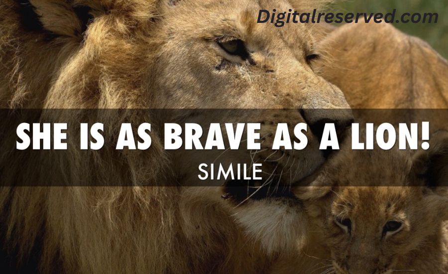 As Brave As A Lion 3 12. Brave Like a Gladiator within the Arena