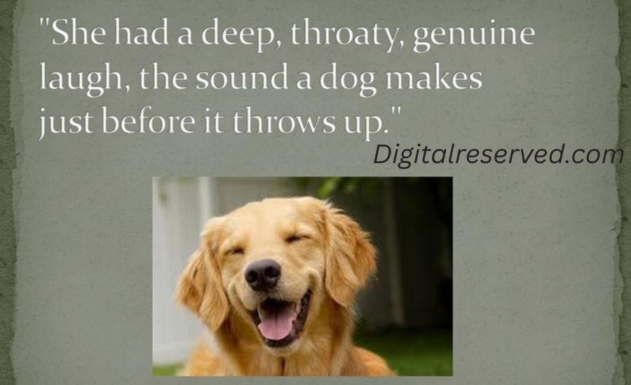 21 Metaphors For Dog 3 12. Dogs Are Like Treasure Chests Overflowing With Love