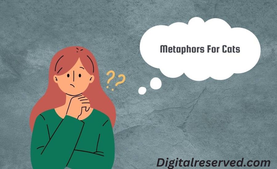 cat metaphors