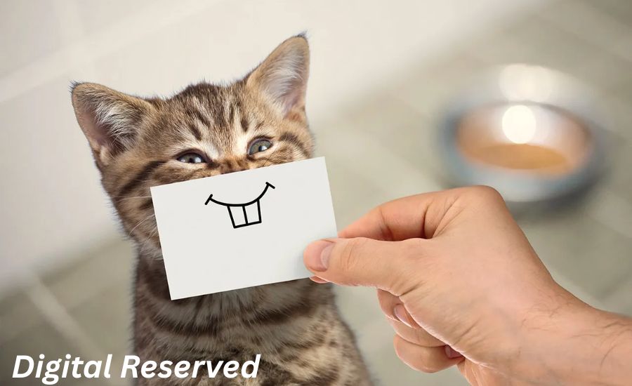 23 Simile For Fun 2 2. As Brave as a Lion