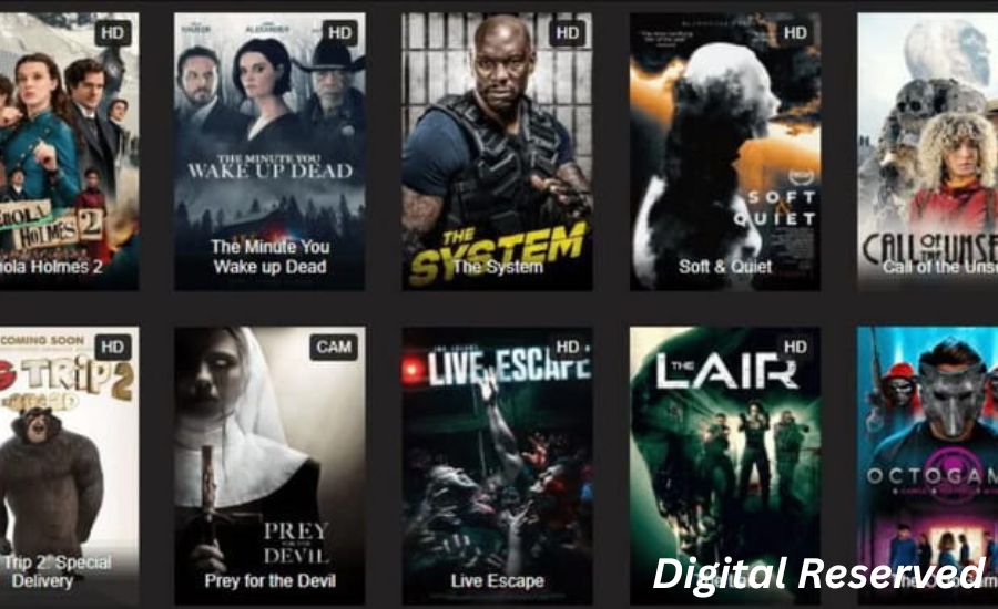 Standout Features That Define Cataz