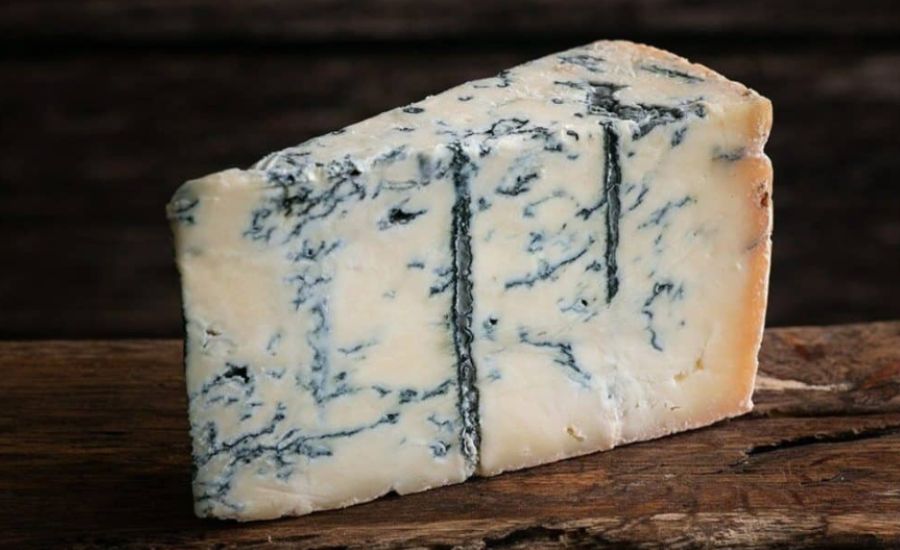The Story Behind Madgonzola